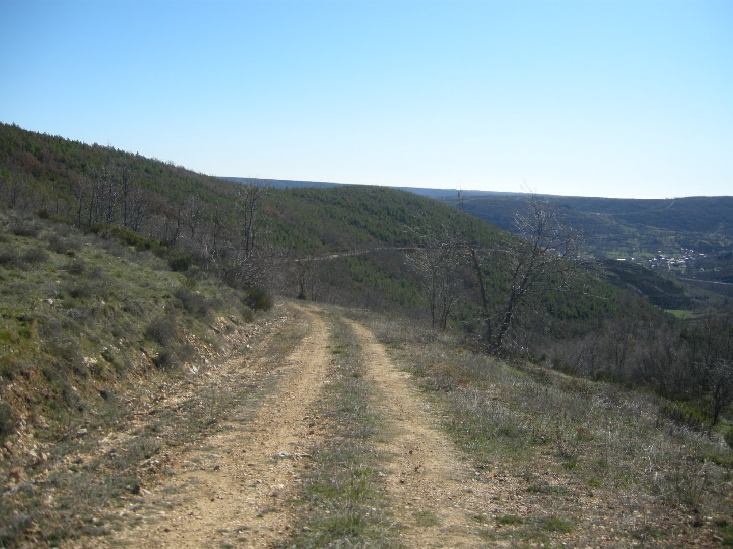 LaMagdalena_2020 202